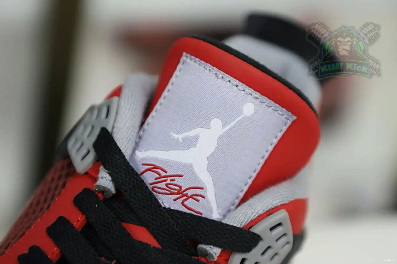 Kimikick Bravo RetroToro Jordan Jordan4 Air 0501